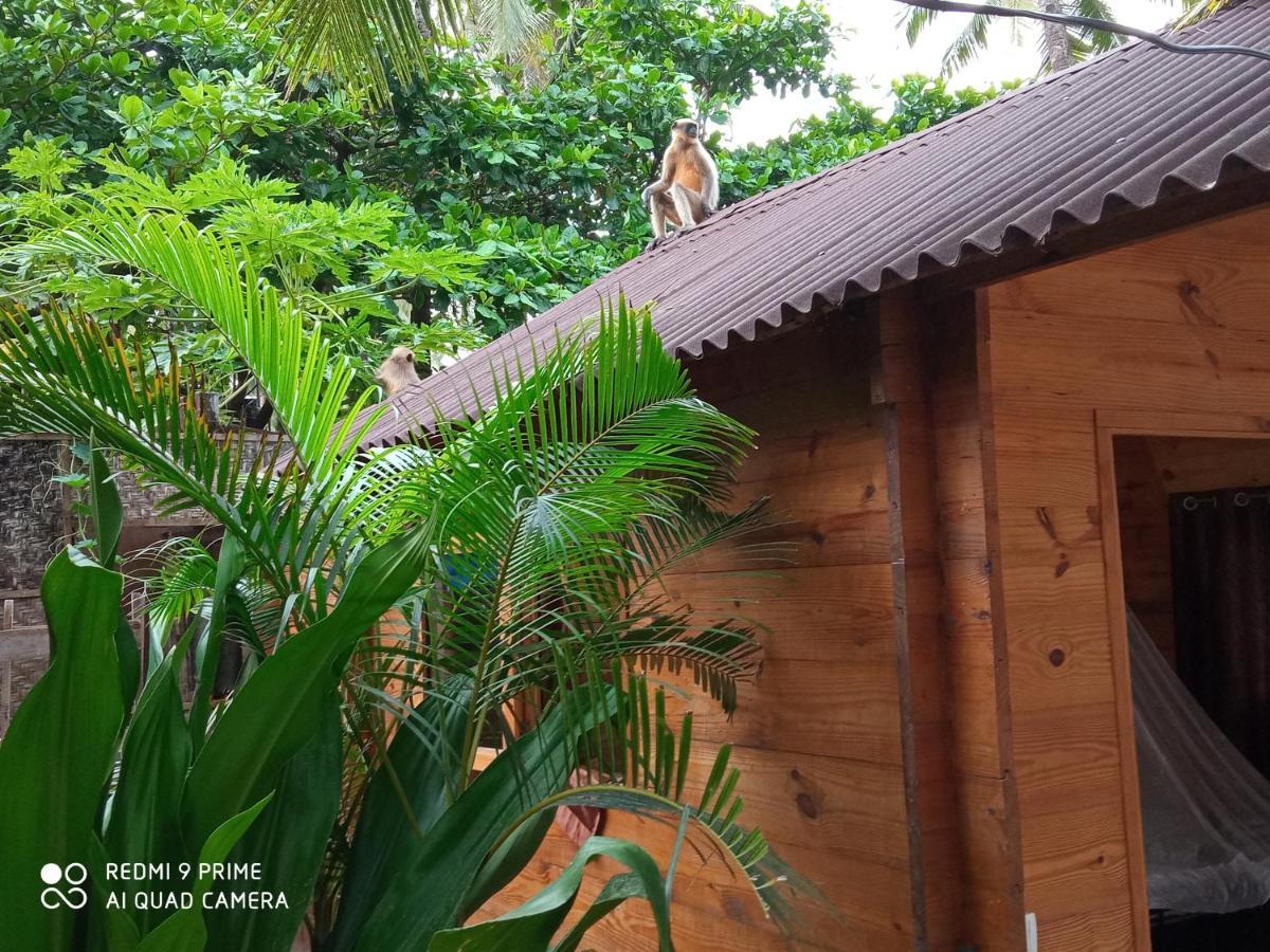 Magic World Palolem Exterior foto