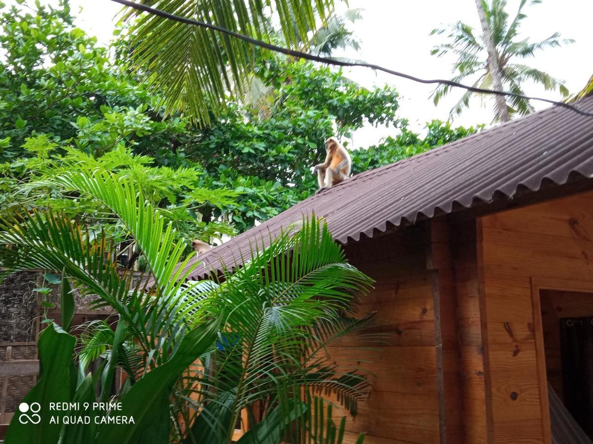 Magic World Palolem Exterior foto